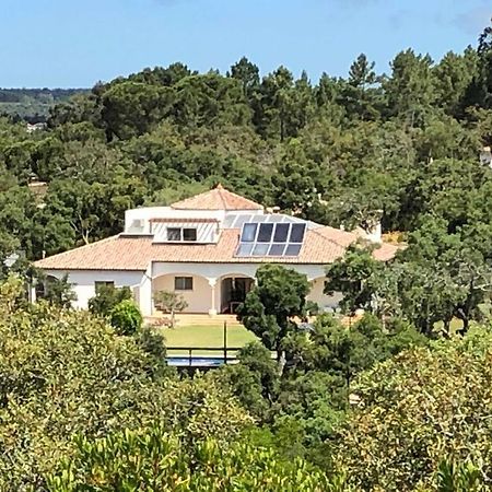 אלג'זור B&B Baxri מראה חיצוני תמונה